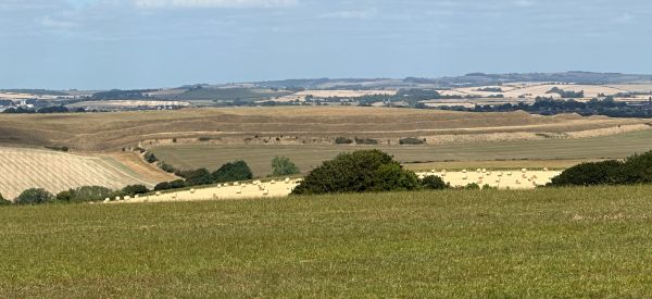 Maiden Castle from the South Dorset Ridgeway