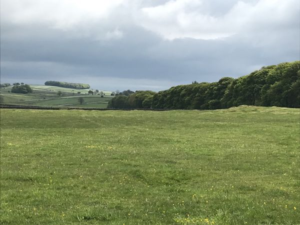 Near Flagg