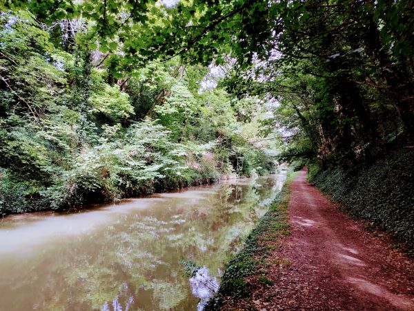 A view along a canal in a cutting.