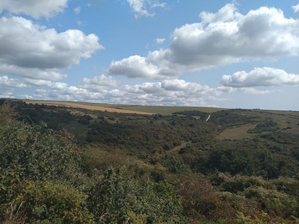 Lullington Heath