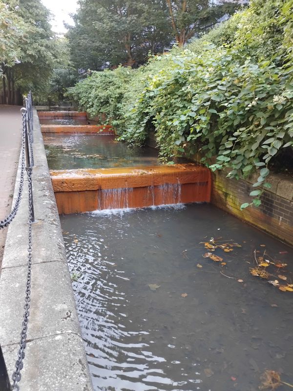 Ornamental canal 
