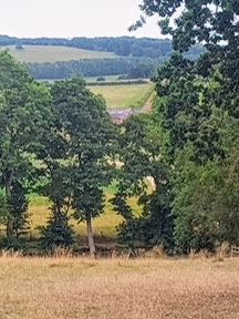 Bugthorpe 