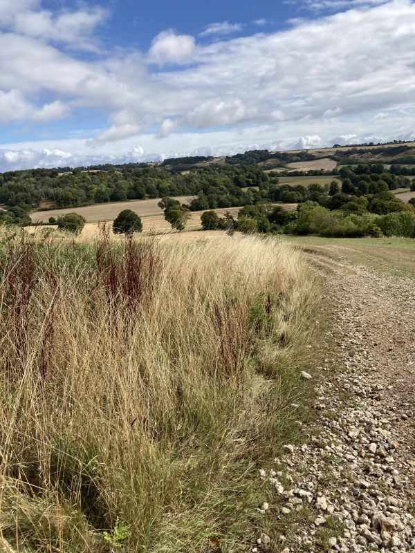 Up Cerne