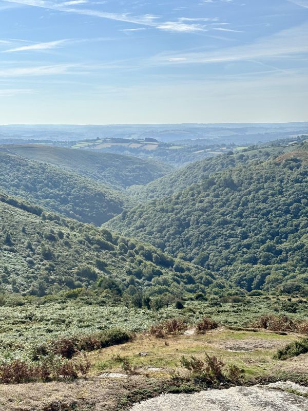 View of the Dart valley from the top of Sharp Tor
