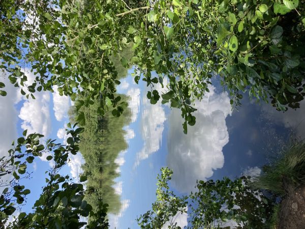 Charnwood Water