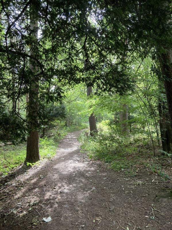 Path