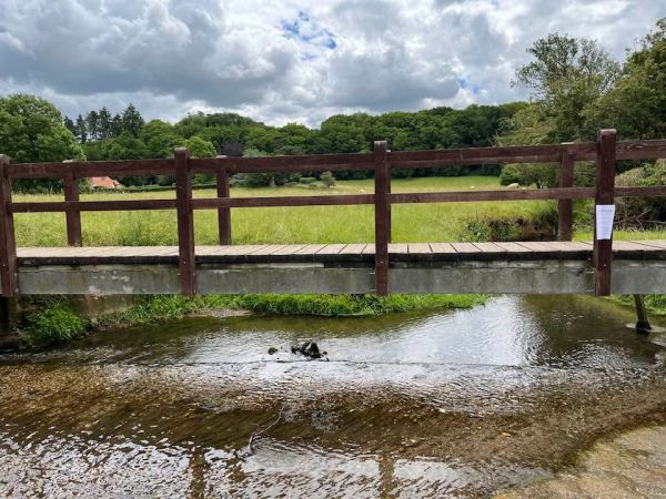 Footbridge over ford