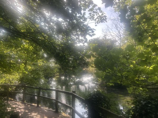Kings Mill