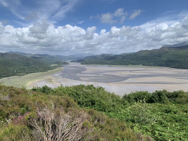 View of the estuary