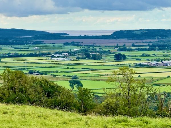 Lyth valley