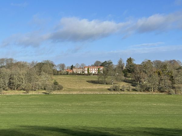 Hinton Ampner