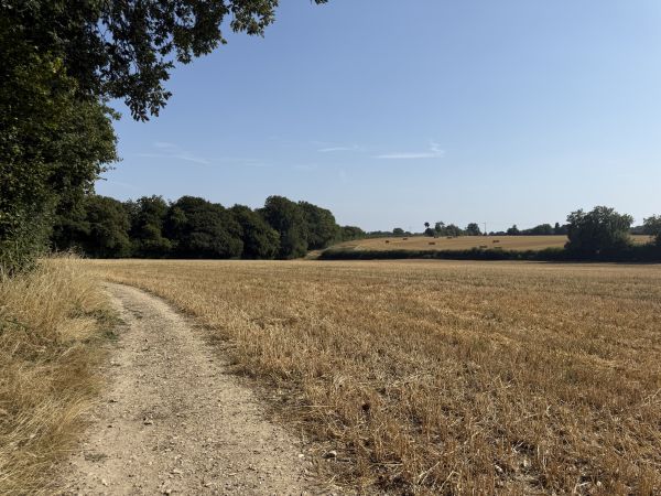 Open Farmland