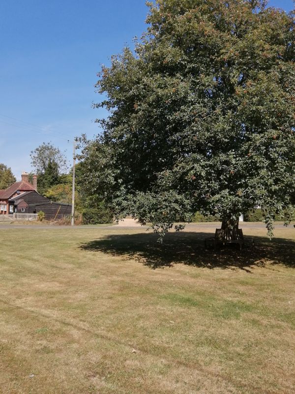 Kilmeston