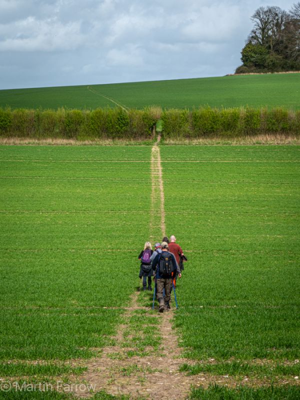 Ramblers walking across field to gap in hedge