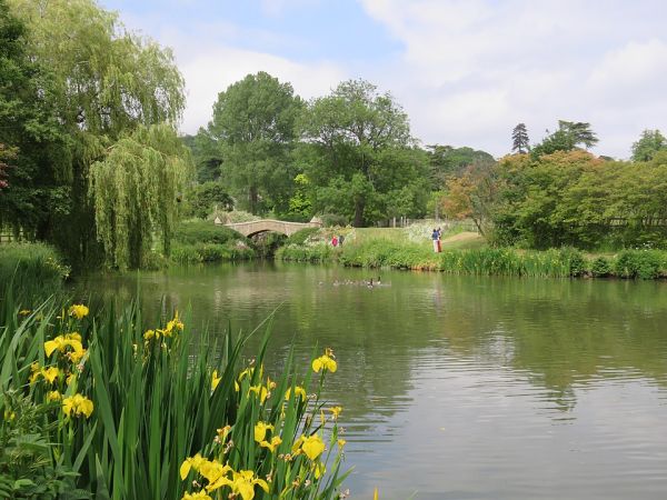 titsey place