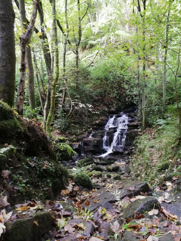 waterfall