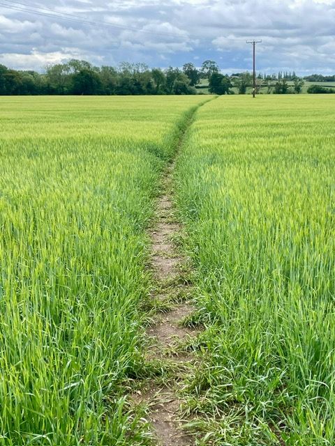 Towards Checkmore