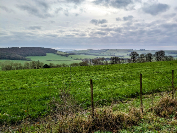 View from the SDW.