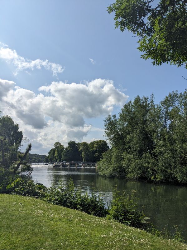A view of the Thames from a nearby bank
