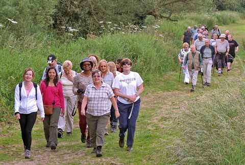 Group of walkers