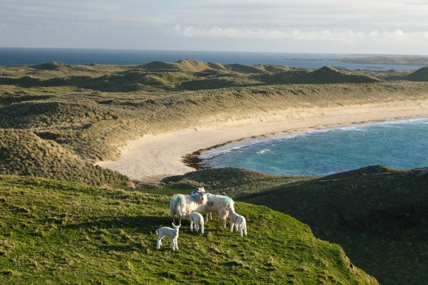 Coll, Inner Hebrides