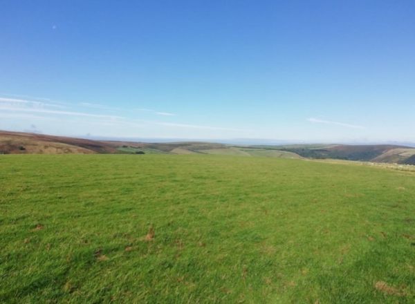 View across field