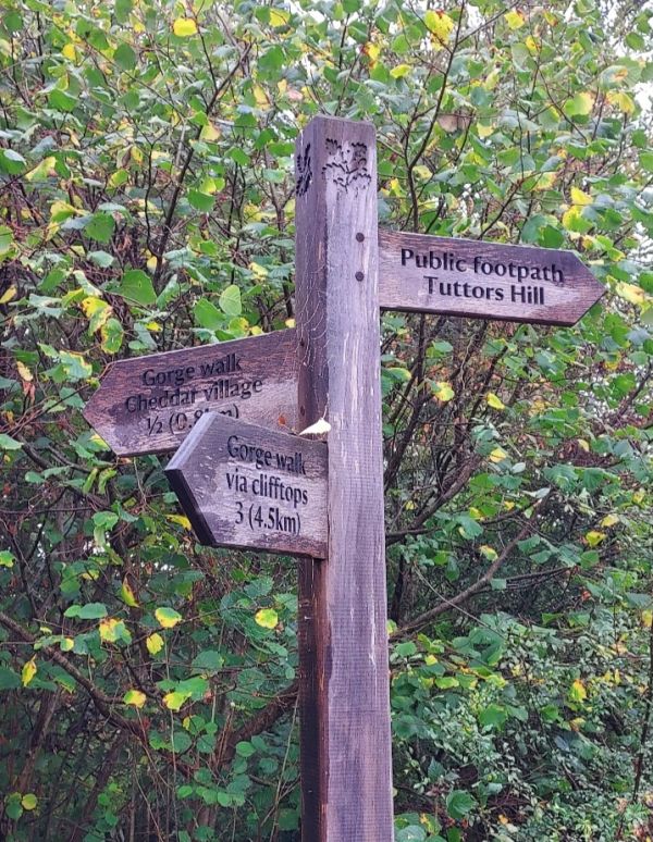 sign post