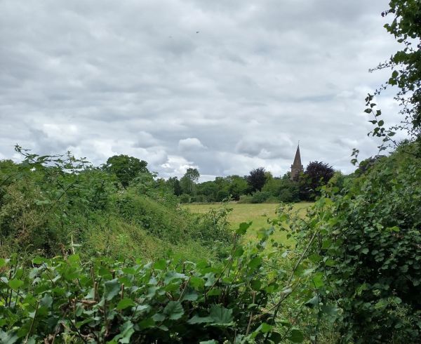 view of Twyford church across fields