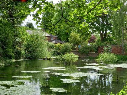 Wendover arm