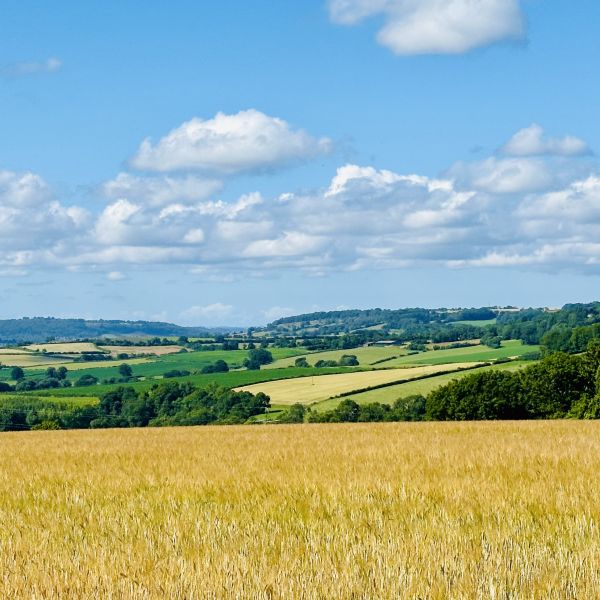 Wiltshire countryside