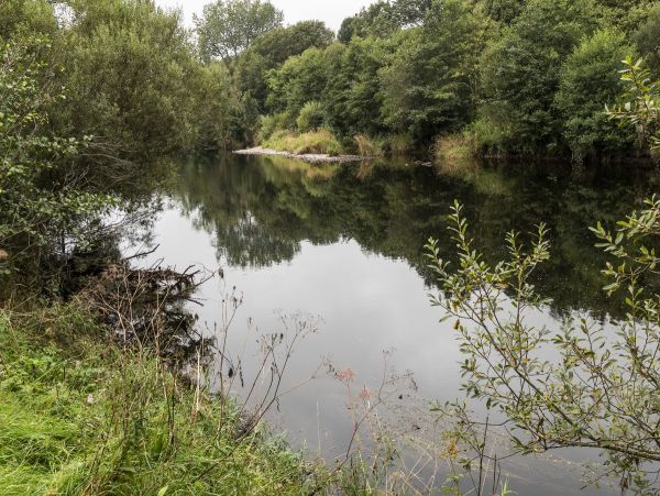 A wooded stretch of the River Earn between Crieff and Muthill