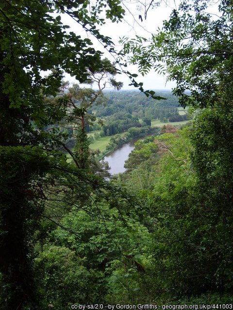Severn View, copyright Gordon Griffiths, used under Creative Commons licence v2.0.