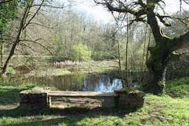 Taste of Gower Walks