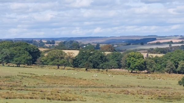 Allensford walk views