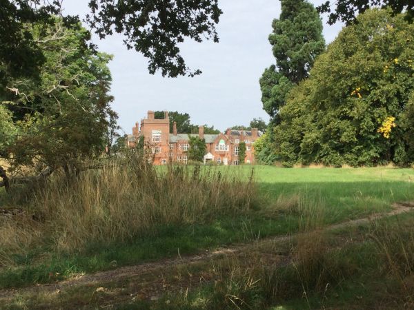 St Paul's Walden Bury