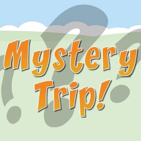 Mystery trip