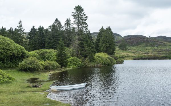 A view of Loch Ordie