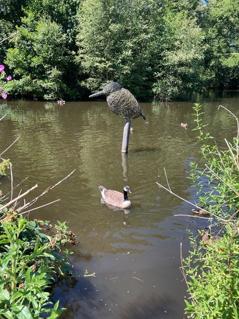Pond at Nature Centre