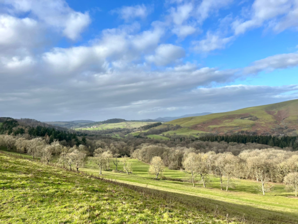 South Shropshire