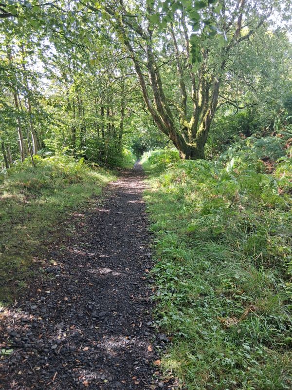 The disused rail line