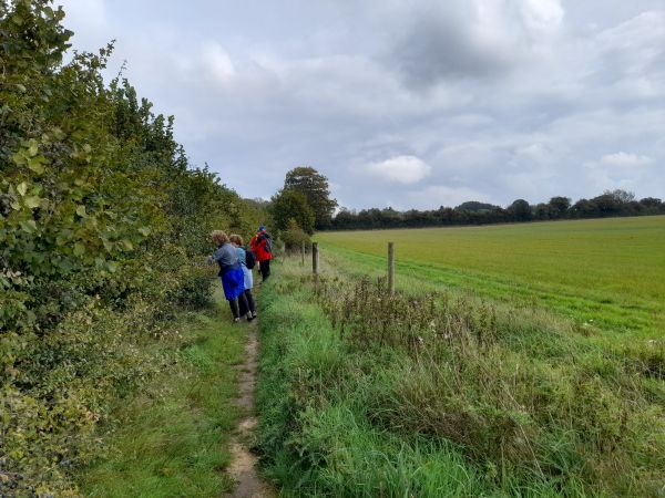Upham Walk