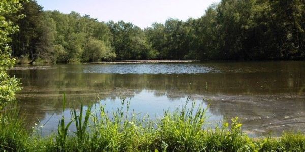 Fishpool 
