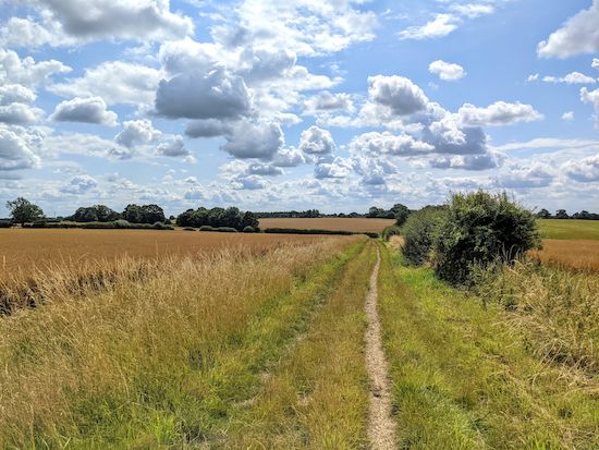 St Paul's Walden restricted byway