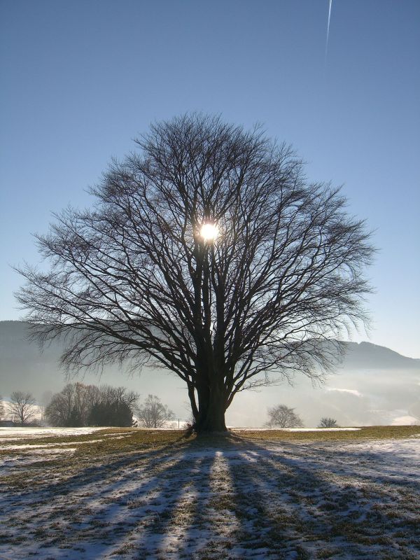 Winter Solstice