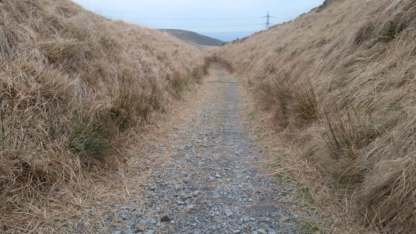 walk 1