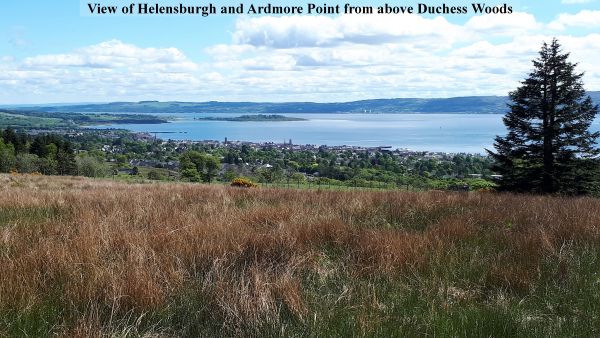 View of Helensburgh and Ardmore Point from above Duchess Woods