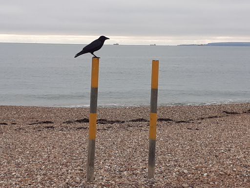 Hayling Beach