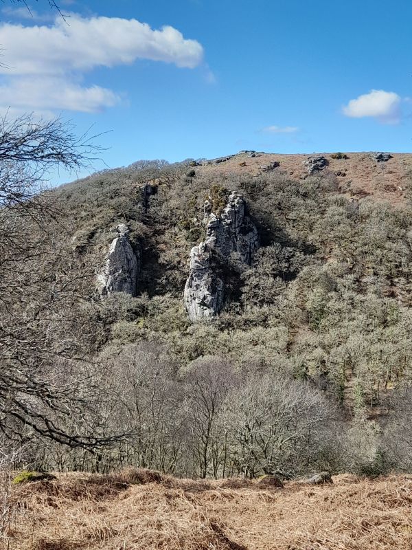 Dewerstone Rocks