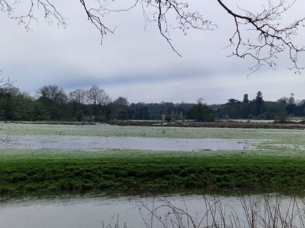 Waverley Abbey