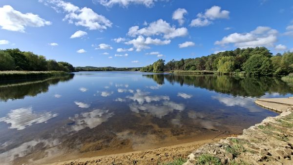 Frensham Little Pond